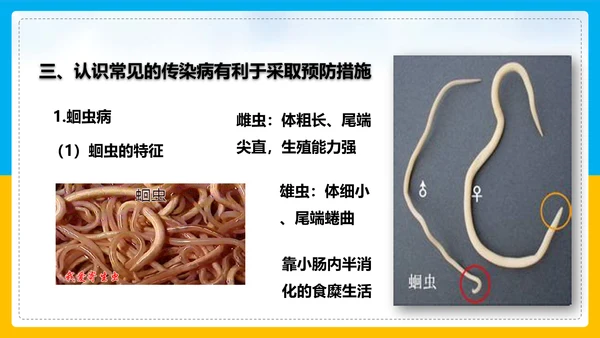 初中生物预防传染病教学PPT课件
