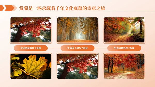 橙色商务图文排版PPT版式合集
