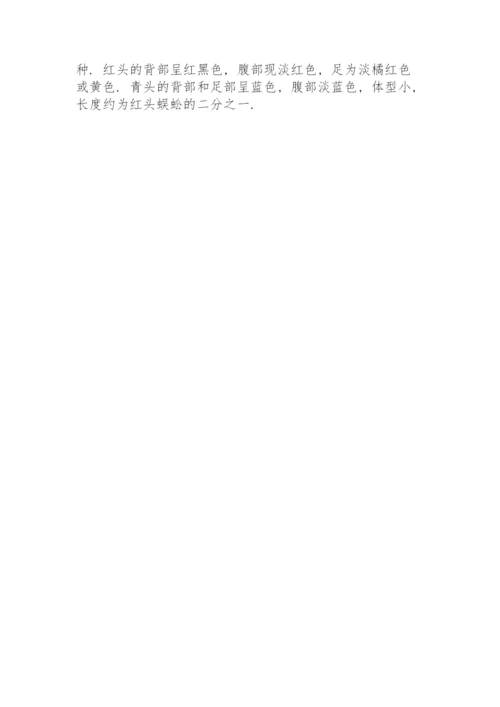 幼儿园大班体育教案详案.docx