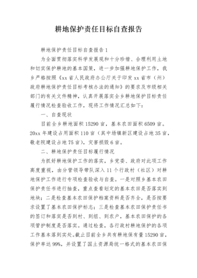 耕地保护责任目标自查报告.docx