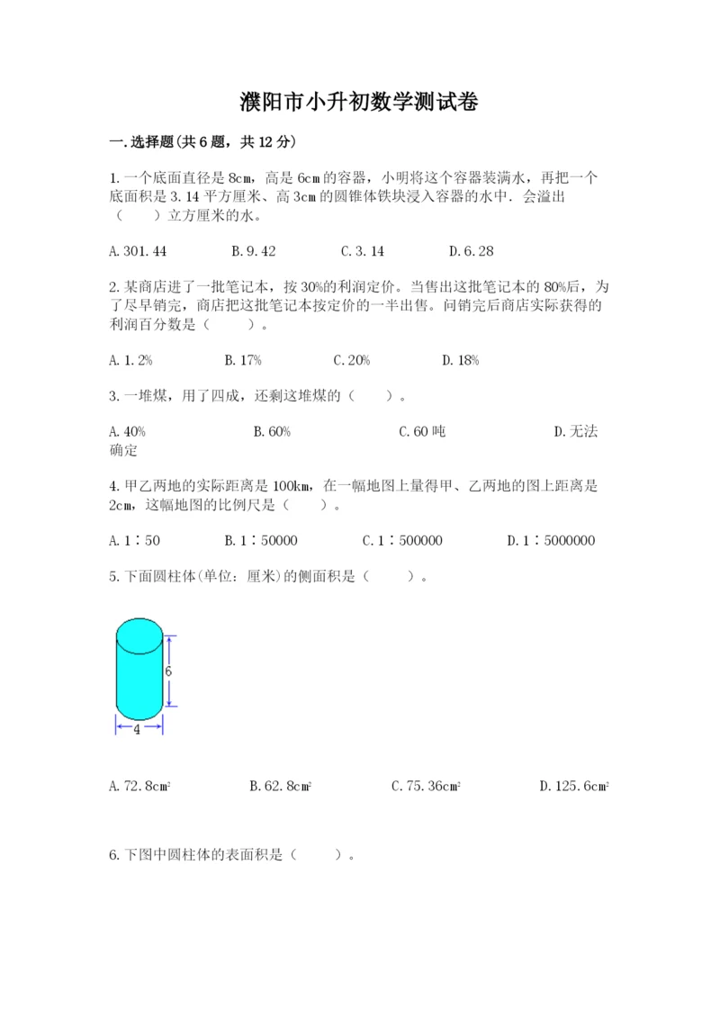 濮阳市小升初数学测试卷完整版.docx