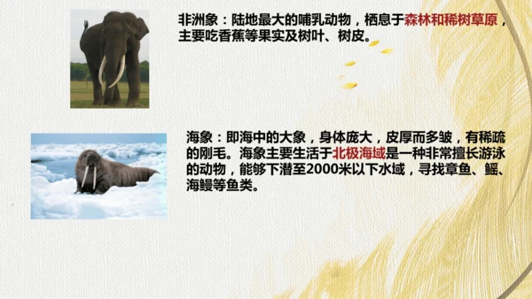 人教版 初中生物七年级上册2.2.2脊椎动物（鸟和哺乳动物）课件(共24张PPT)+ 视频素材
