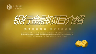 大气银行金融投资项目介绍工作总结汇报PPT