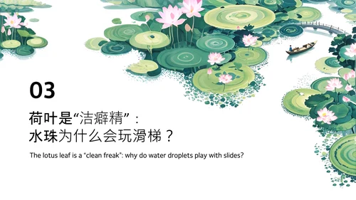 绿色简约插画中国风荷花科普介绍PPT模板