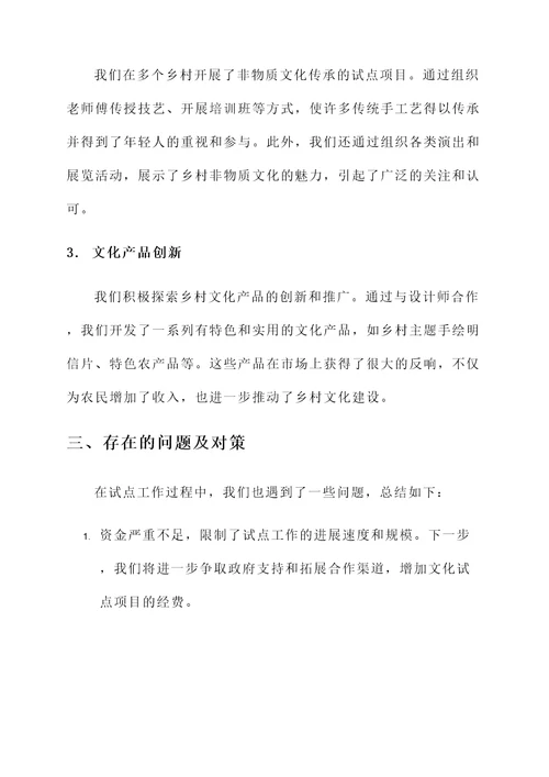 乡村文化试点工作总结汇报