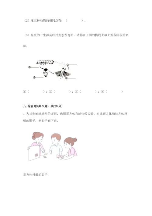 教科版三年级下册科学期末测试卷带答案（预热题）.docx