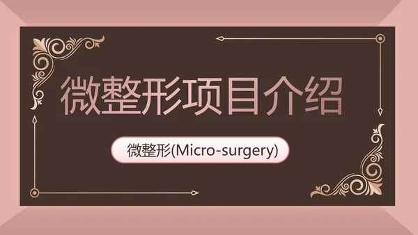 微整形项目介绍工作总结汇报动态PPT