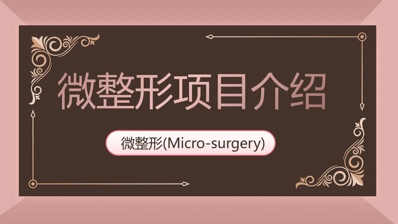 微整形项目介绍工作总结汇报动态PPT
