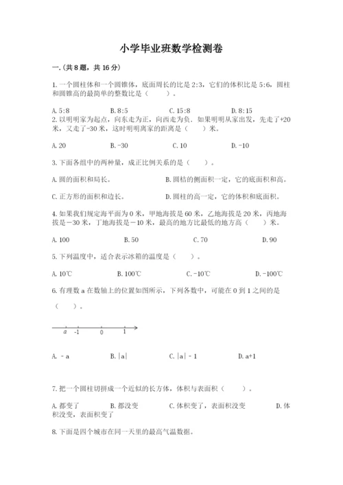 小学毕业班数学检测卷（考点精练）.docx