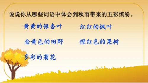 6 秋天的雨   课件