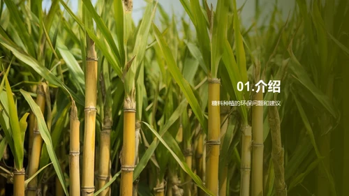 糖料生态化种植