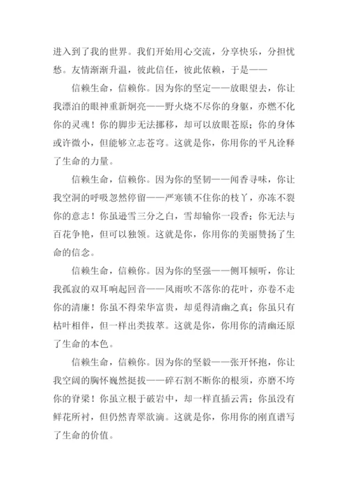 写信赖的作文.docx