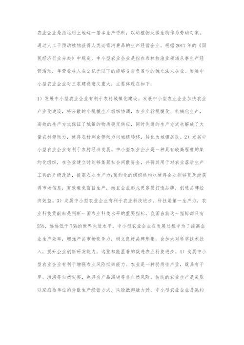 中小型农业企业发展问题及解决措施.docx