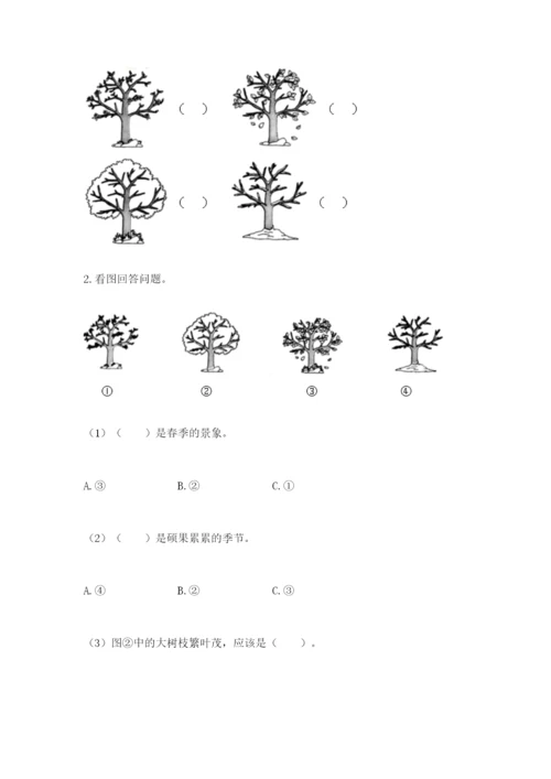教科版二年级上册科学期末测试卷含完整答案（历年真题）.docx