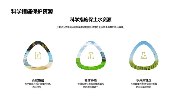 豆类种植与绿色未来