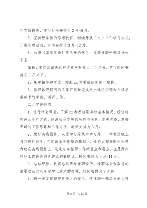 挂职干部学习实践计划.docx