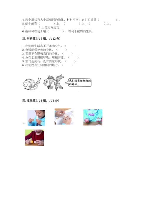 教科版小学科学一年级下册期末测试卷附答案【培优b卷】.docx