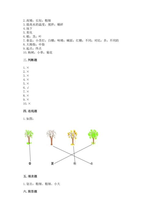 教科版一年级上册科学期末测试卷【中心小学】.docx