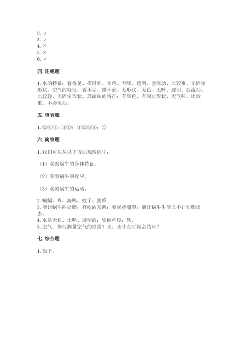 教科版一年级下册科学期末测试卷带答案.docx