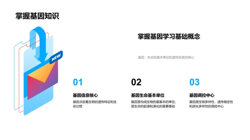 基因与遗传教学PPT模板