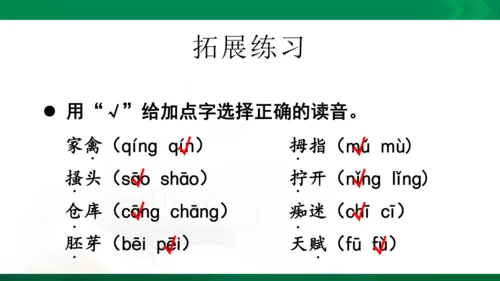 人教统编版语文五年级下册 第八单元 复习课件（共30页ppt）