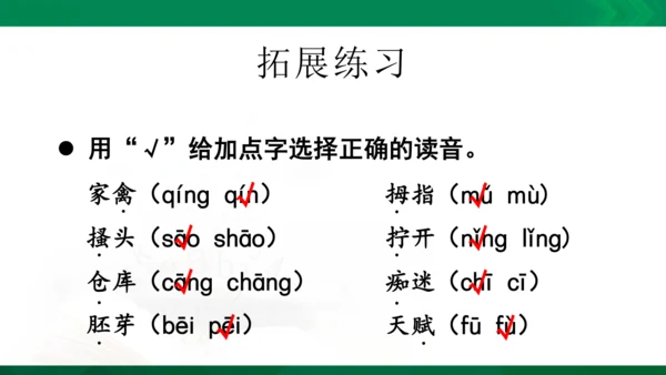人教统编版语文五年级下册 第八单元 复习课件（共30页ppt）