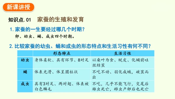 7.1.2昆虫的生殖和发育-八年级生物人教版下学期同步精品课件(共29张PPT)