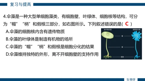 综合实践项目单元小结-【备课优选】七年级生物上学期同步精品课件（2024人教版）(共19张PPT)