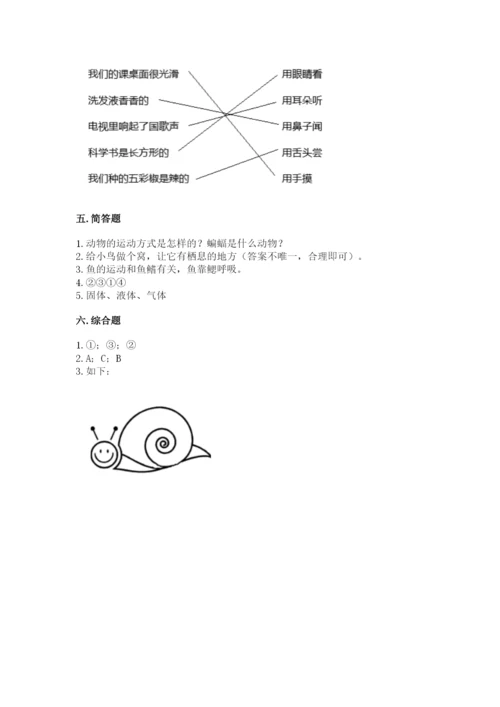 教科版一年级下册科学期末测试卷带精品答案.docx