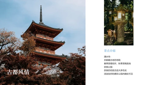 现代简约高级日本旅游攻略PPT模板