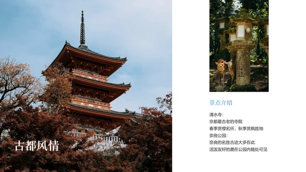 现代简约高级日本旅游攻略PPT模板