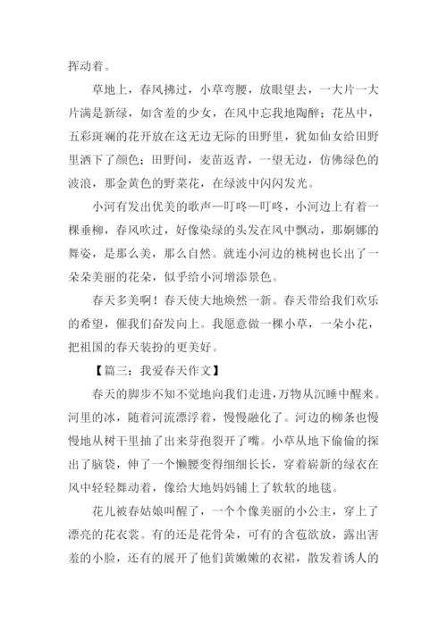 春天的风景作文300字.docx