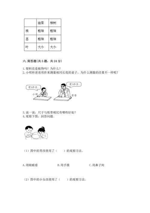 教科版一年级上册科学期末测试卷精品【a卷】.docx