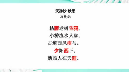 第一单元 复习课件(共75张PPT)