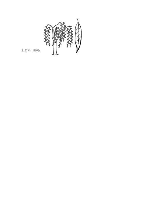 教科版科学一年级上册第一单元《植物》测试卷带答案（模拟题）.docx