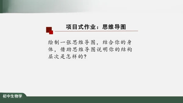 2.2.2 动物体的结构层次 课件（共24张PPT）