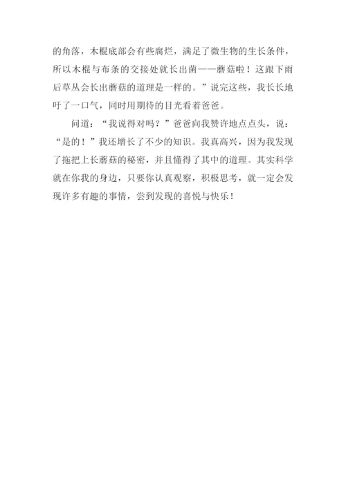 拖把上长蘑菇作文.docx