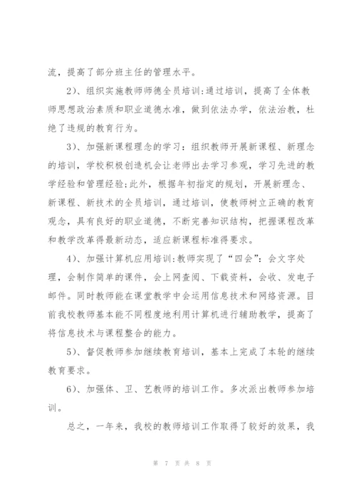 新教师个人培训年度总结.docx