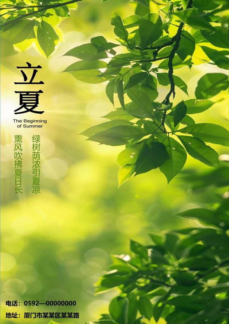 夏日阳光立夏节气海报