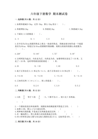 六年级下册数学 期末测试卷含完整答案【夺冠系列】.docx