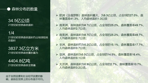 植树节认识森林保护森林主题教育通用PPT模板