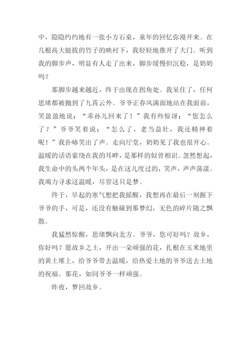 梦回故乡作文800字.docx