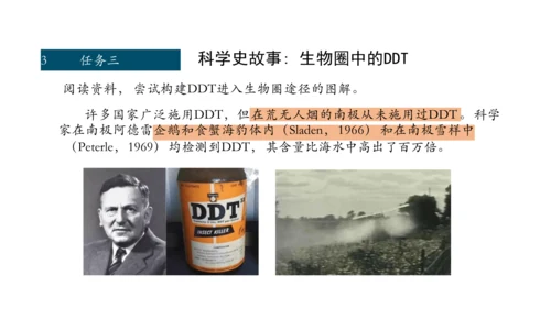 1.2.3 生物圈是最大的生态系统 课件（共28张PPT）