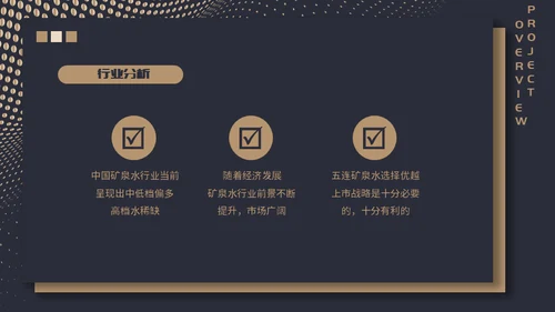 高端质感大气项目融资计划通用PPT模板
