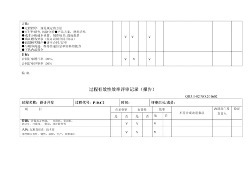 过程有效性效率评审记录.docx