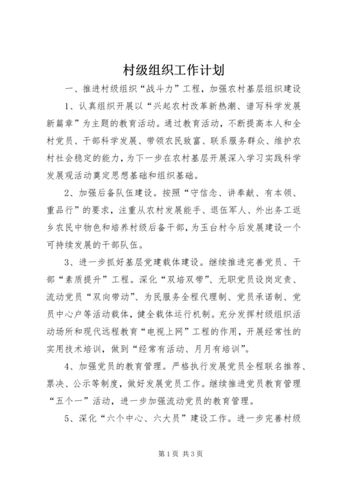 村级组织工作计划.docx
