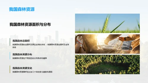 森林改培：挽救绿肺