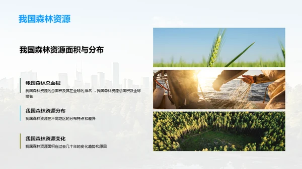 森林改培：挽救绿肺