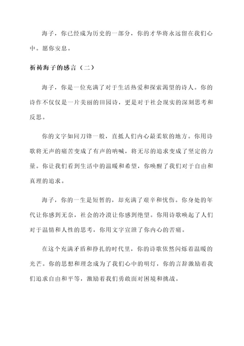 祈祷海子的感言