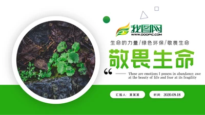唯美绿色植物发芽植物生长敬畏生命PPT模板